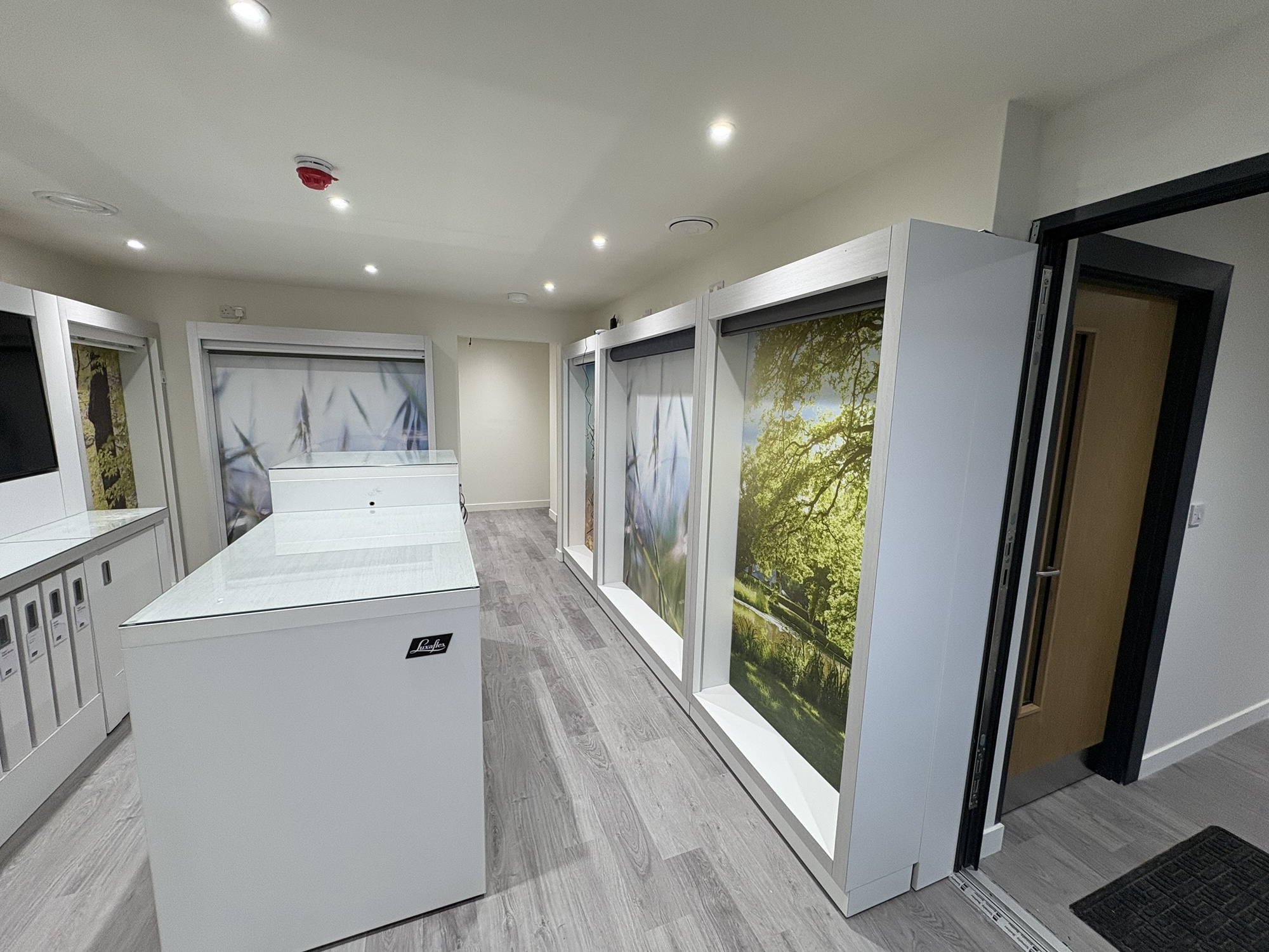 Showroom & Office Fit-Out – From Blank Canvas to Finished Space